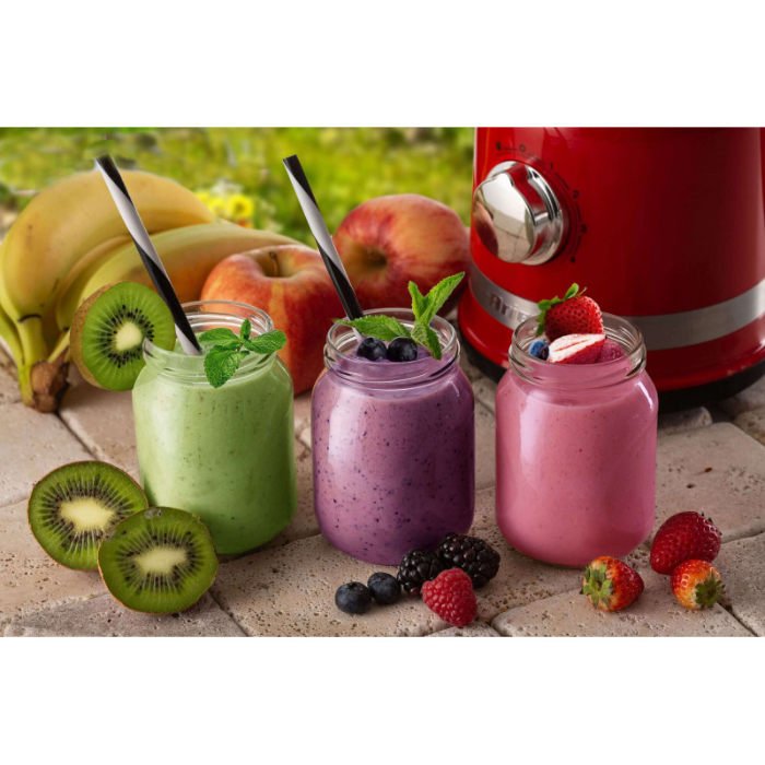 مخلوط کن آریته مدل 585 مدرنا